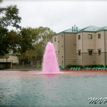 pinking-the-canal-6